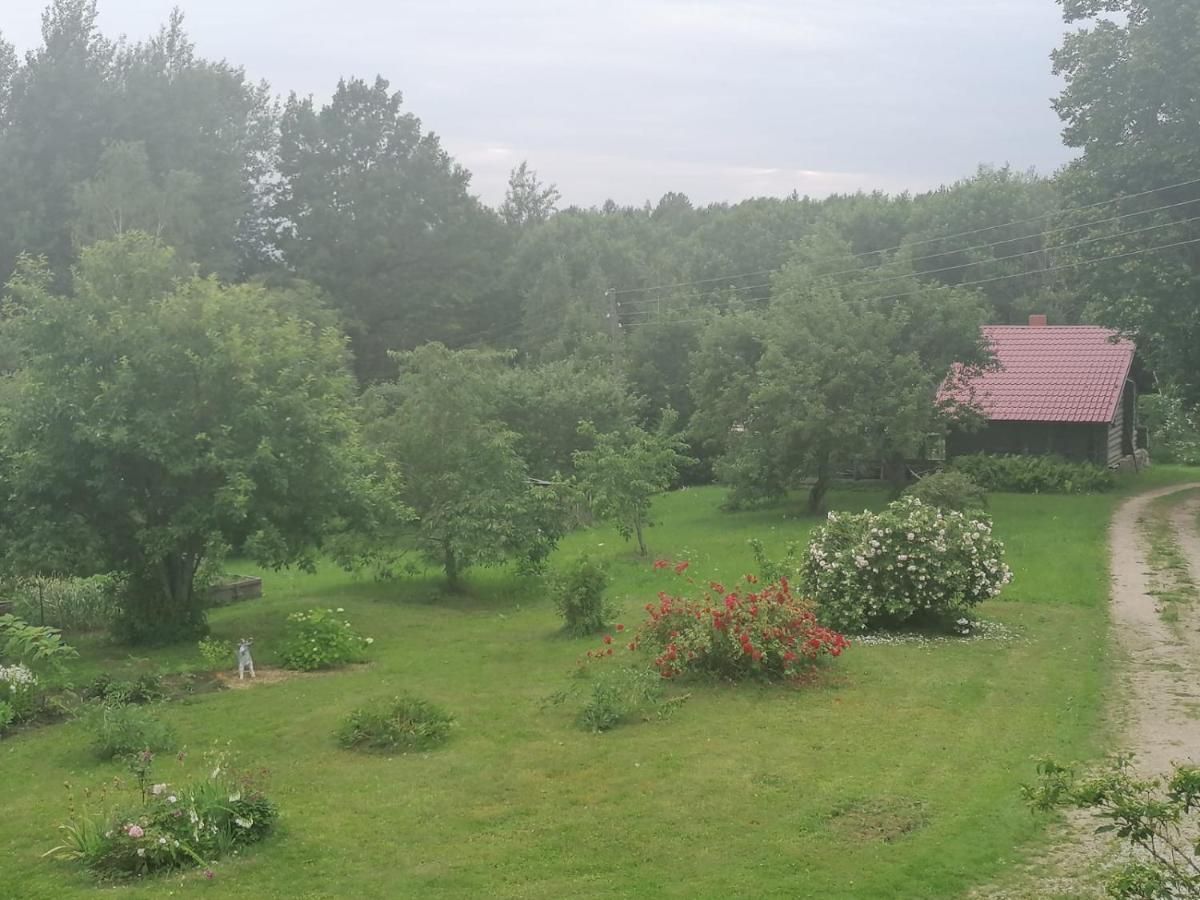 Country House Podini Apartment Mālpils Екстериор снимка