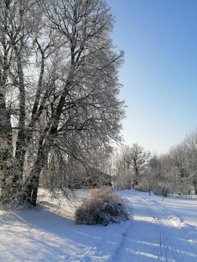 Country House Podini Apartment Mālpils Екстериор снимка