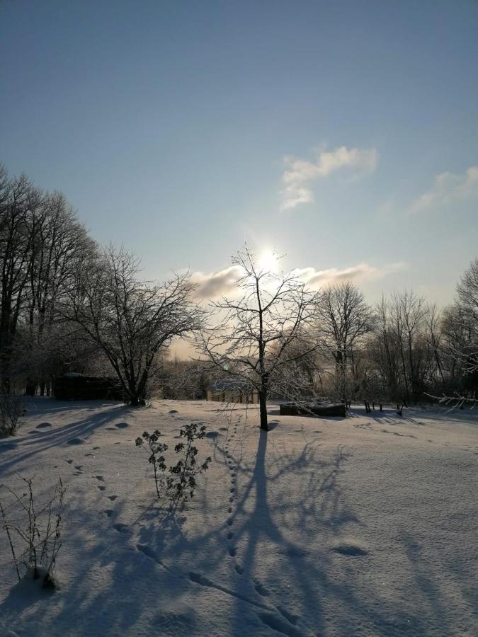 Country House Podini Apartment Mālpils Екстериор снимка