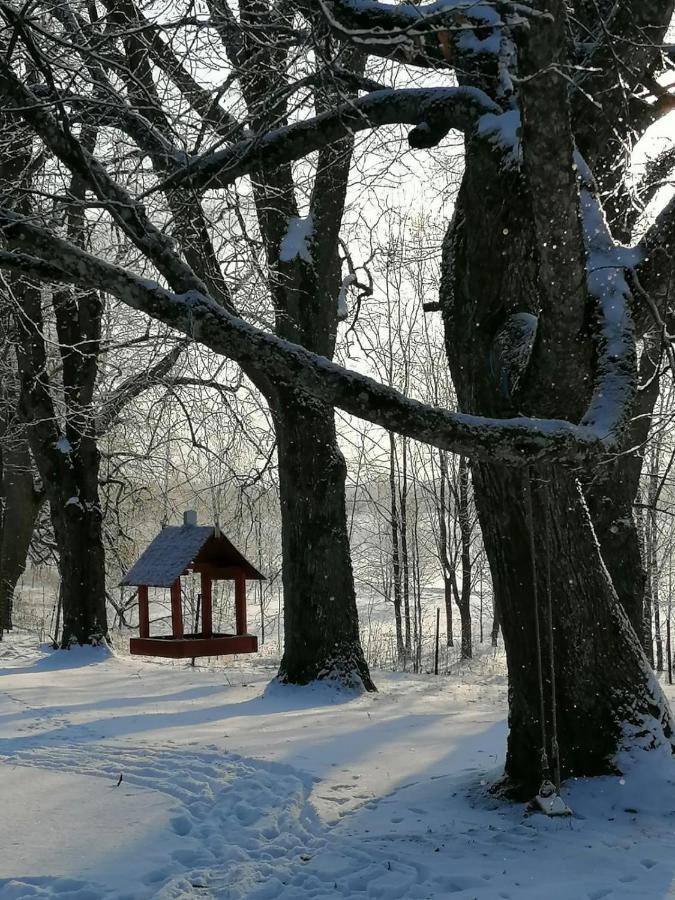 Country House Podini Apartment Mālpils Екстериор снимка