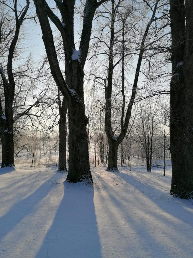 Country House Podini Apartment Mālpils Екстериор снимка