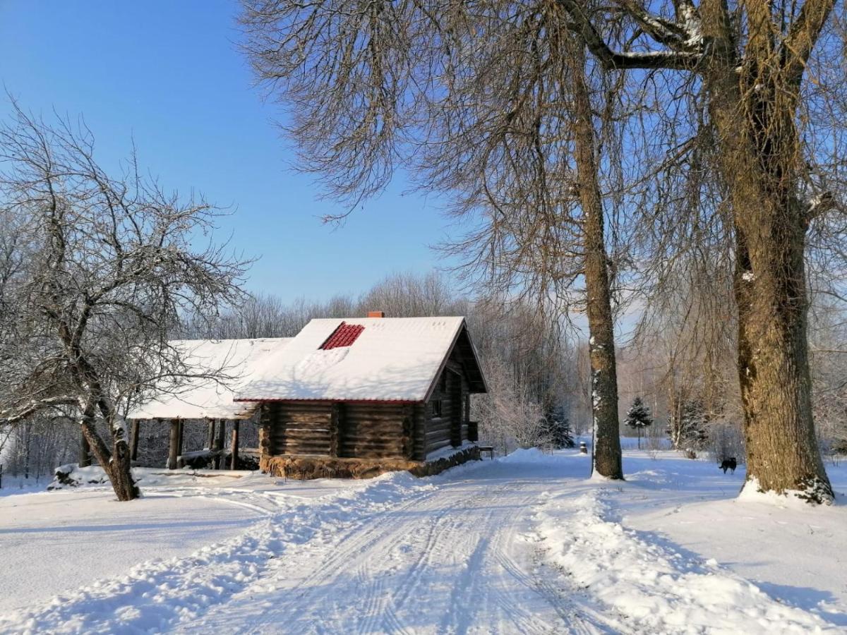 Country House Podini Apartment Mālpils Екстериор снимка